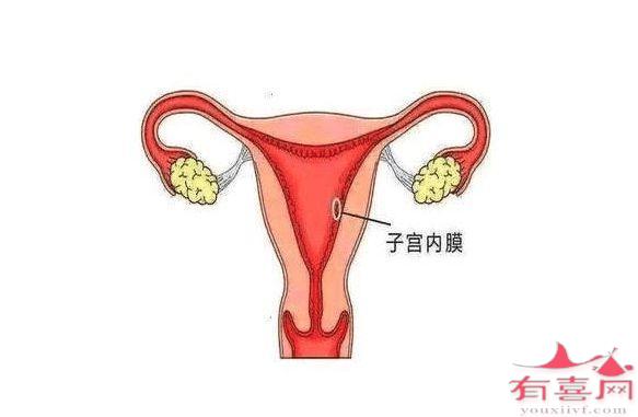 威海试管助孕-子宫大、子宫内膜厚的妇女会怎样？